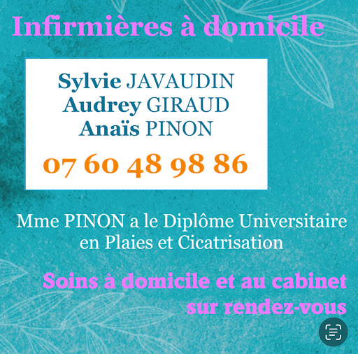 SYLVIE JAVAUDIN