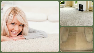 Photos of Green Frog Cleaning