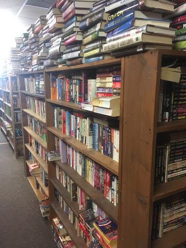 Book Bug - Visual