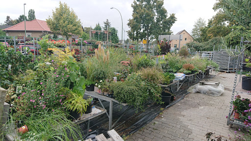 Blumen Werth - Visual