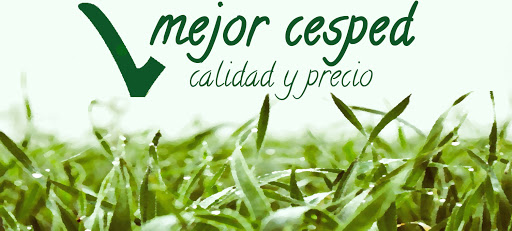 www.mejorcesped.com