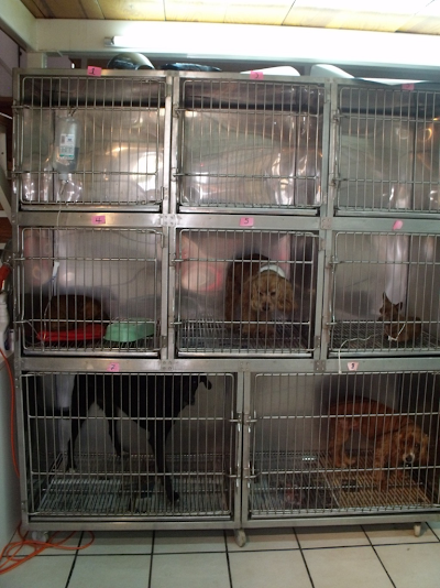 Photos of Hospital Veterinario Orejas