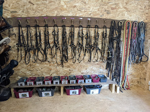 Photo n°19 de O'reil Equitation à Les Hauts-d'Anjou (Éleveur)