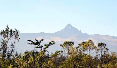 Photos of Kongoni Camp