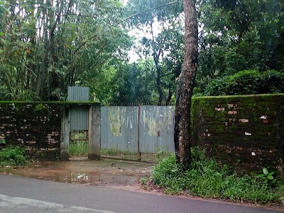 Photos of Mehedi Garden