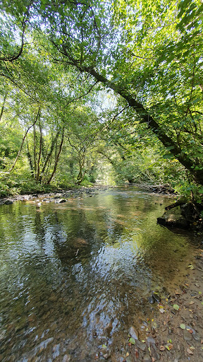 River Ely Gallery - United Kingdom