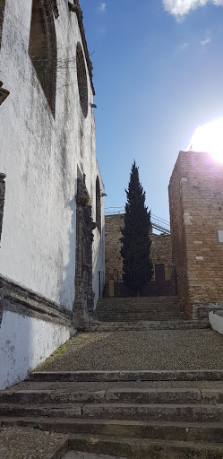 Medina Sidonia Properties - Thumbnail