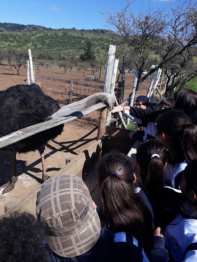 Photos of Lecher&iacute;a Los Maitenes