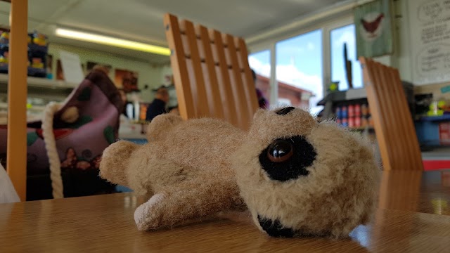 Jennycliff Cafe