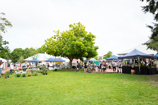 Freshie Farmers Market
