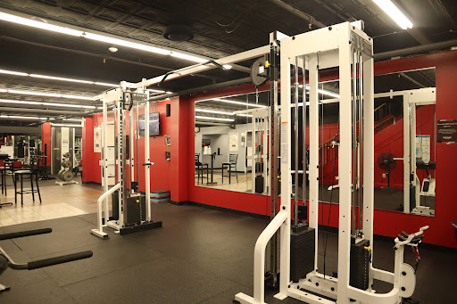 The Gym Inc - Thumbnail
