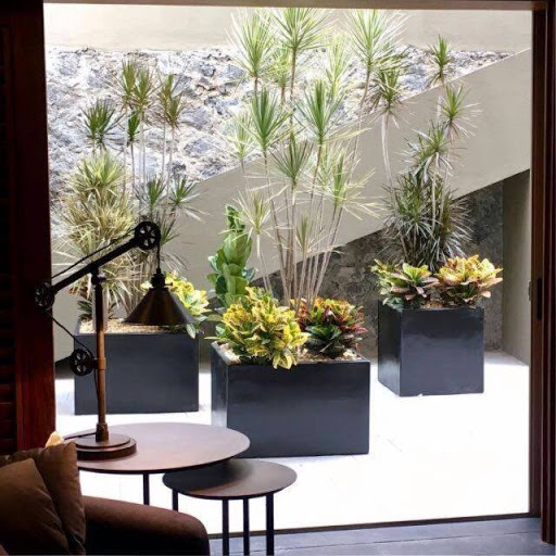Vivero Lomas, mantenimiento y jardinería