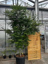 Photo n°6 de ALICE VÉGÉTAUX à Bourgvallées (Animalerie)