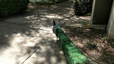 Louisiana Purchase Gardens & Zoo