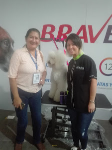 Animal Fashion Peluqueria Canina 1