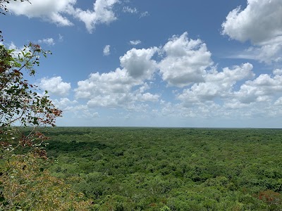 Cobá Zona Arqueológica