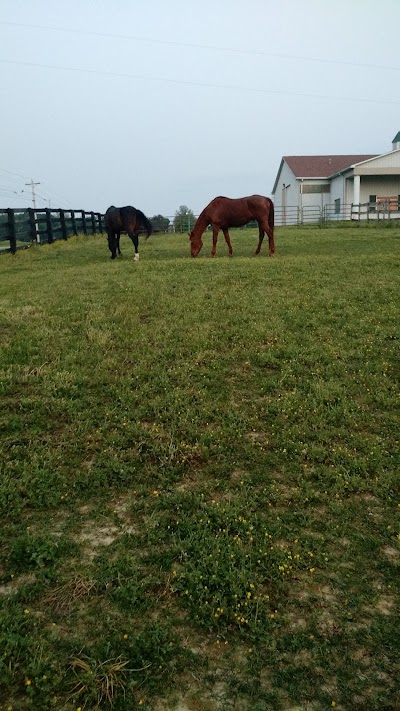 Photos of Bittel Equestrian Center