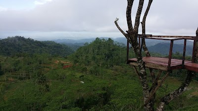 Photos of Gunung Panggung