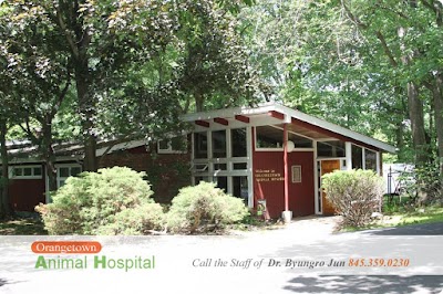 Orangetown Animal Hospital