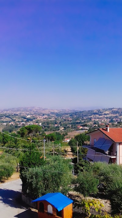 Photos of Hotel l'Ulivo