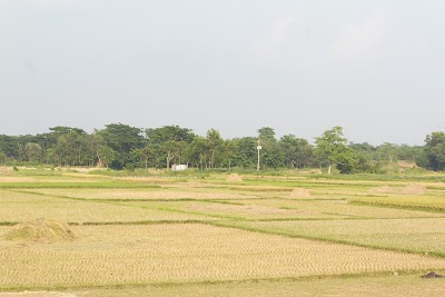 Photos of Agricultural Field