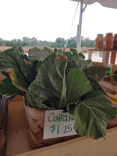 Cotton Hills Farm Richburg Market