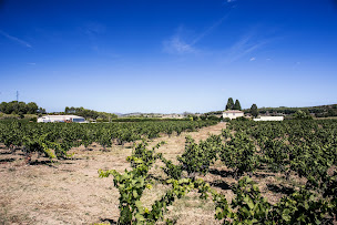 Photo n°1 de Château Valmont à Peyriac-de-Mer (Vignoble)