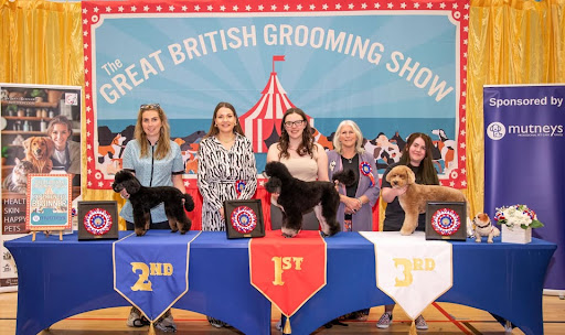 Brightmoor Luxury Dog Groomers