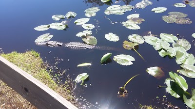 Photos of Camp & Aire Resort