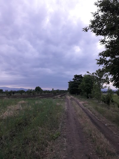 Photos of "Qərb Qapısı"