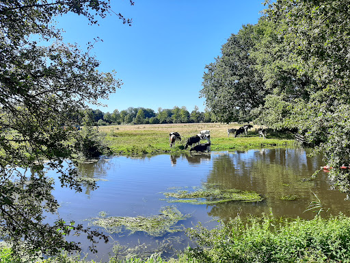 Hellendoorn - Thumbnail