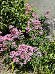 Photo n°41 de Chambres d'hôtes 