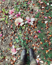 Photo n°27 de Le Moulin et l'Olivier. à Valencisse (Moulin)