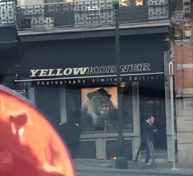 Galerie YellowKorner