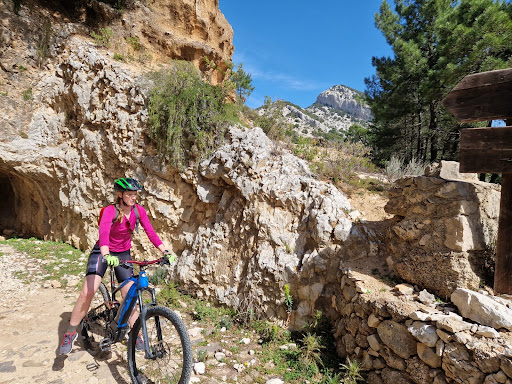 Sardebike - Visual