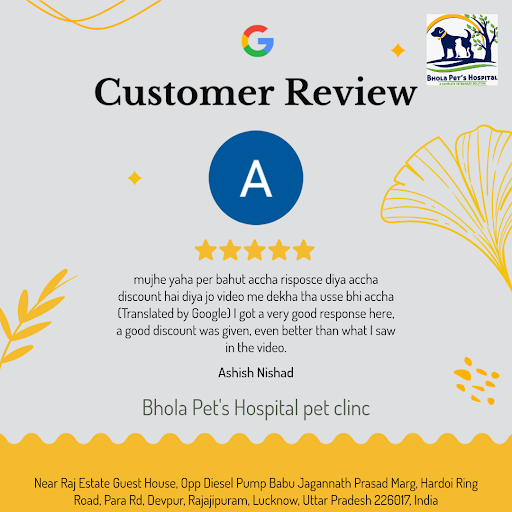 Ashish Nishad's furry friend received top-notch care at Bhola Pet's Hospital pet clinic in Luckno… post image