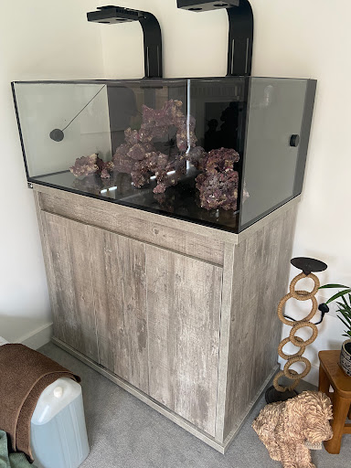 Reef Addiction Marine Aquatics - Thumbnail