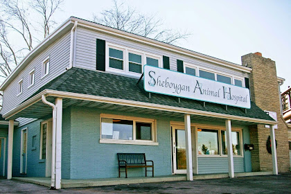 sheboygan animal hospital reviews