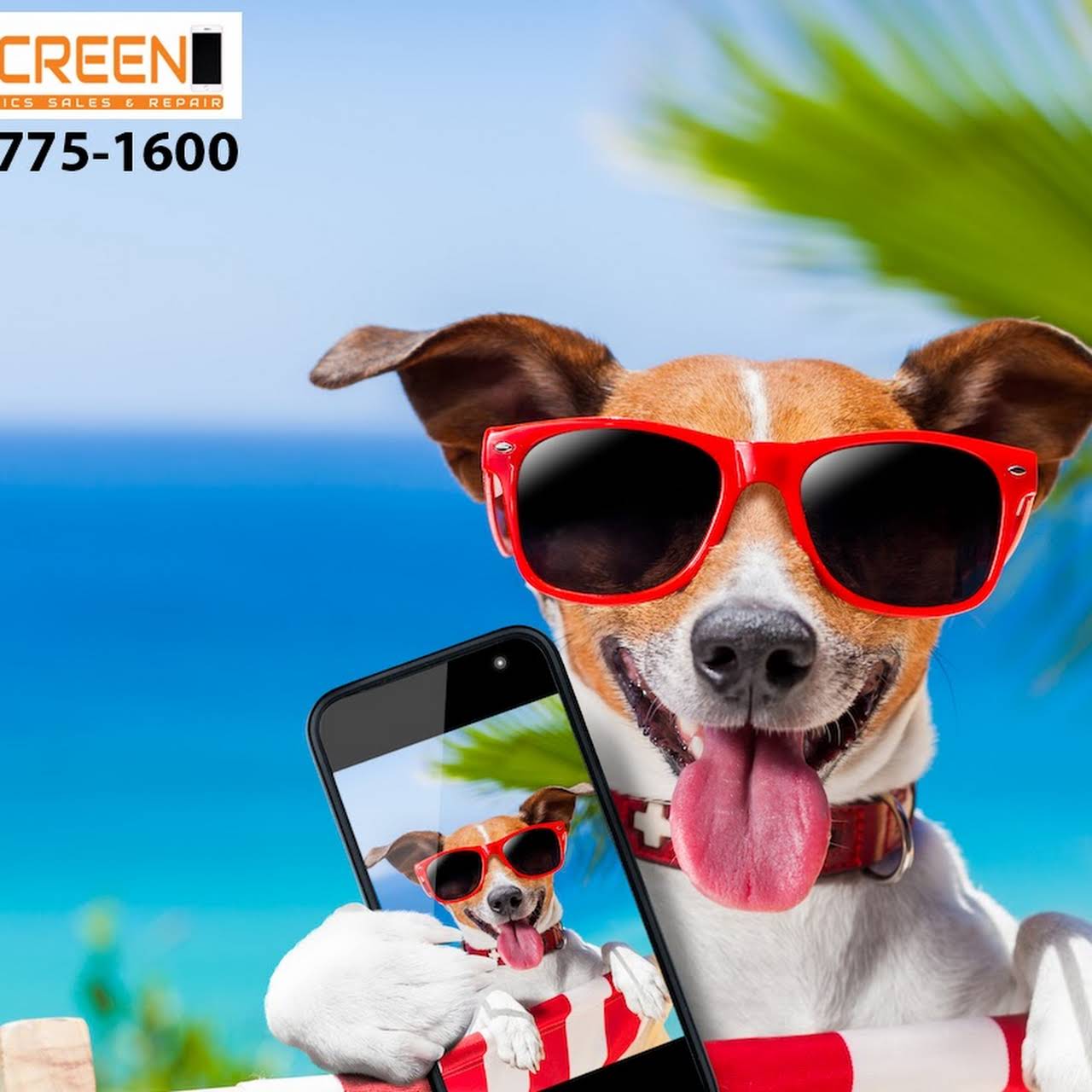 EZ Screen Cell Phone & Tablet Repair Fresno iPhone Repair, Samsung
