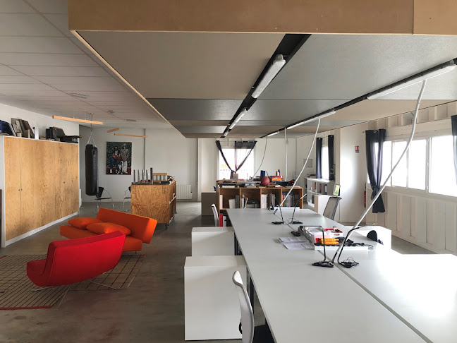 Phenome Architectures