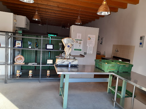 Franco Catella Gallery - Italy
