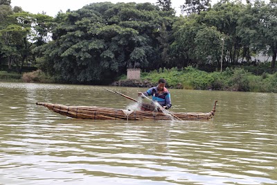 Photos of Lake Tana