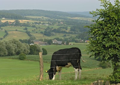 Photos of Oosterberg
