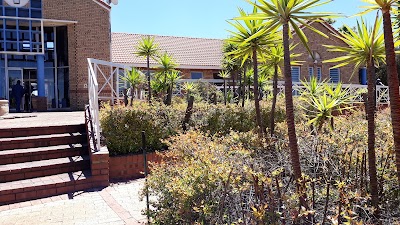 university