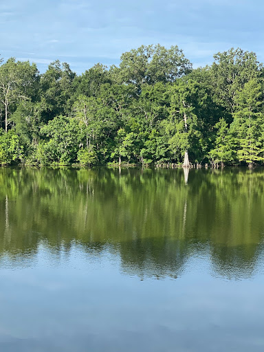 Boeuf Wildlife Management Area