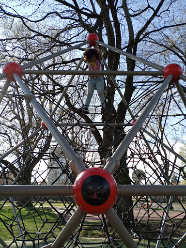 Dawson Park - Visual