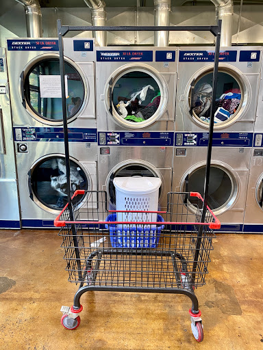 MT Logan Laundry - Visual