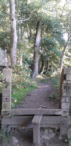 Maes Hiraddug North Wales Wildlife Trust Nature Reserve - Thumbnail