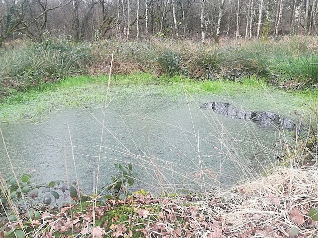 Gorges du Corong