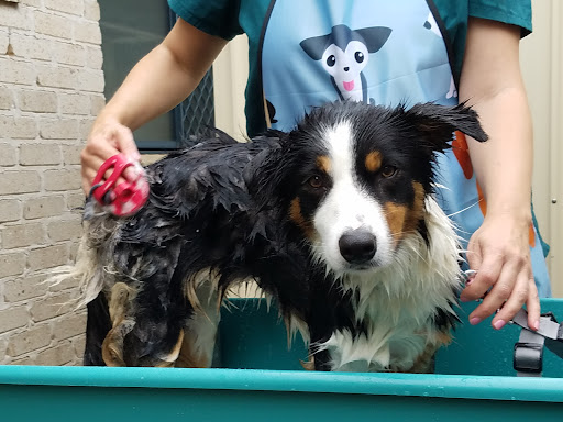 Wello's Grooming Paradise - Thumbnail
